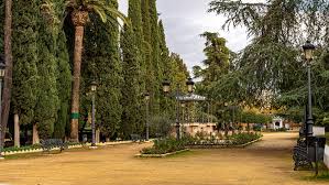 PIEDAD PARK